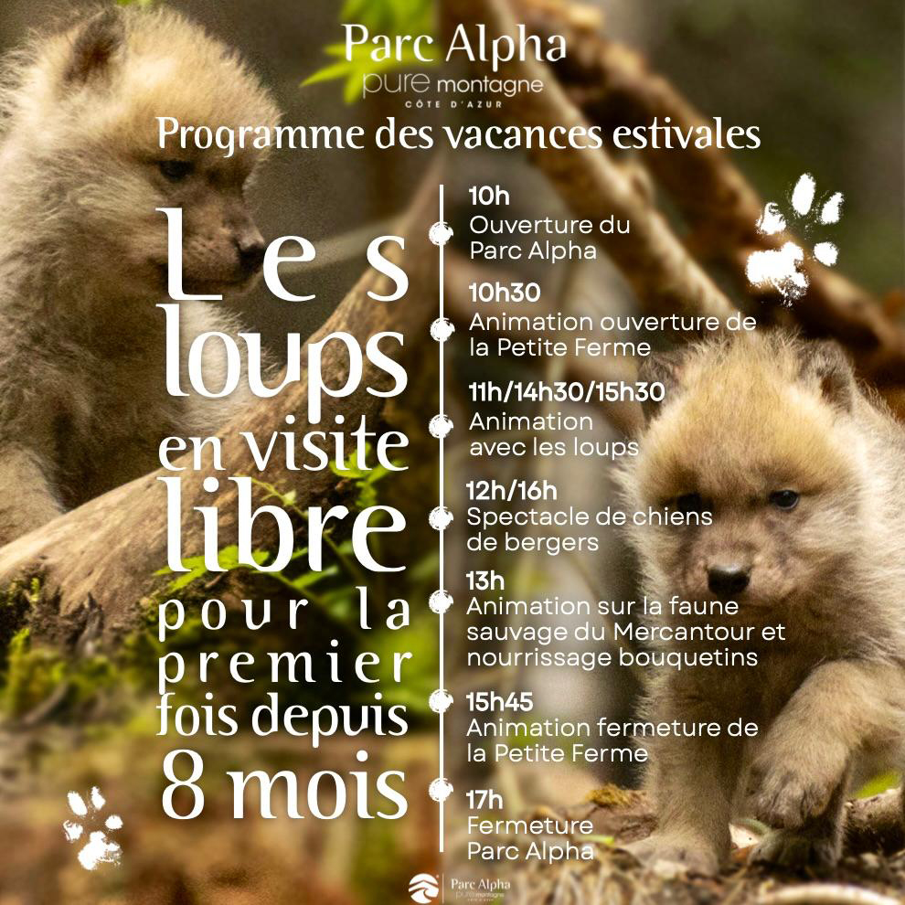 programme alpha ete 26