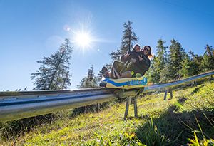 Luge d’été